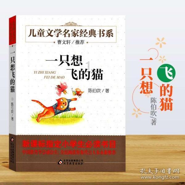 甜美洋气小公主
