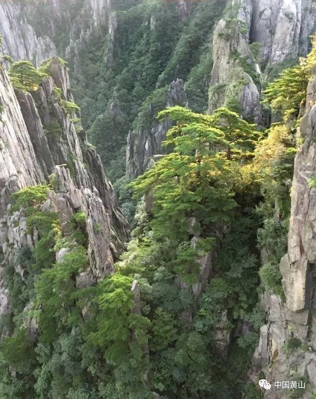 用一句话证明你看过《正阳门下》？游戏画面